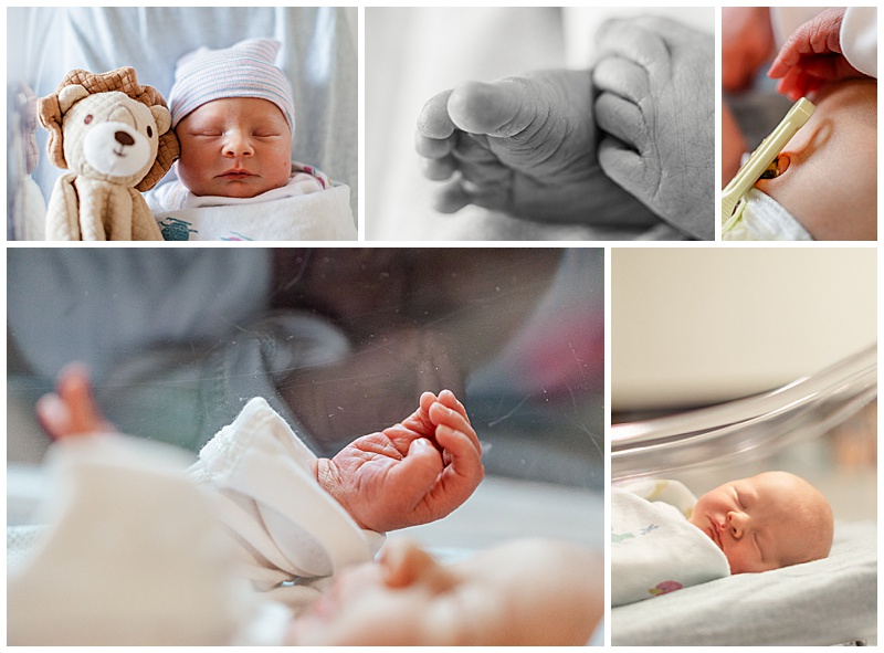 Collage of newborn during first 48 in Emporia, Kansas. Featuring baby's toes, hands, umbilical cord. Baby is sleeping with stuffed lion