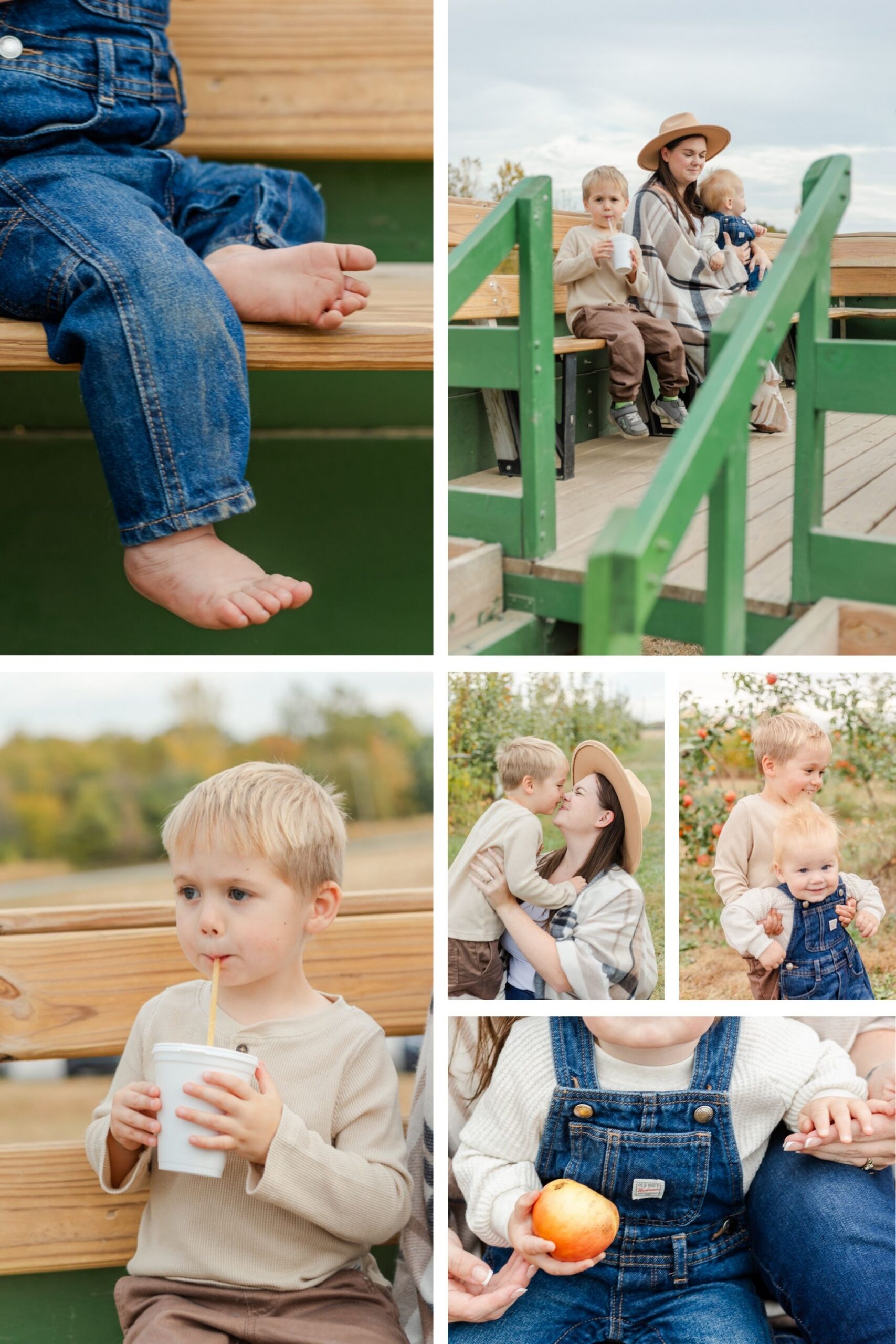 Collage of Mother and two sons in apple orchard and on a tractor ride.