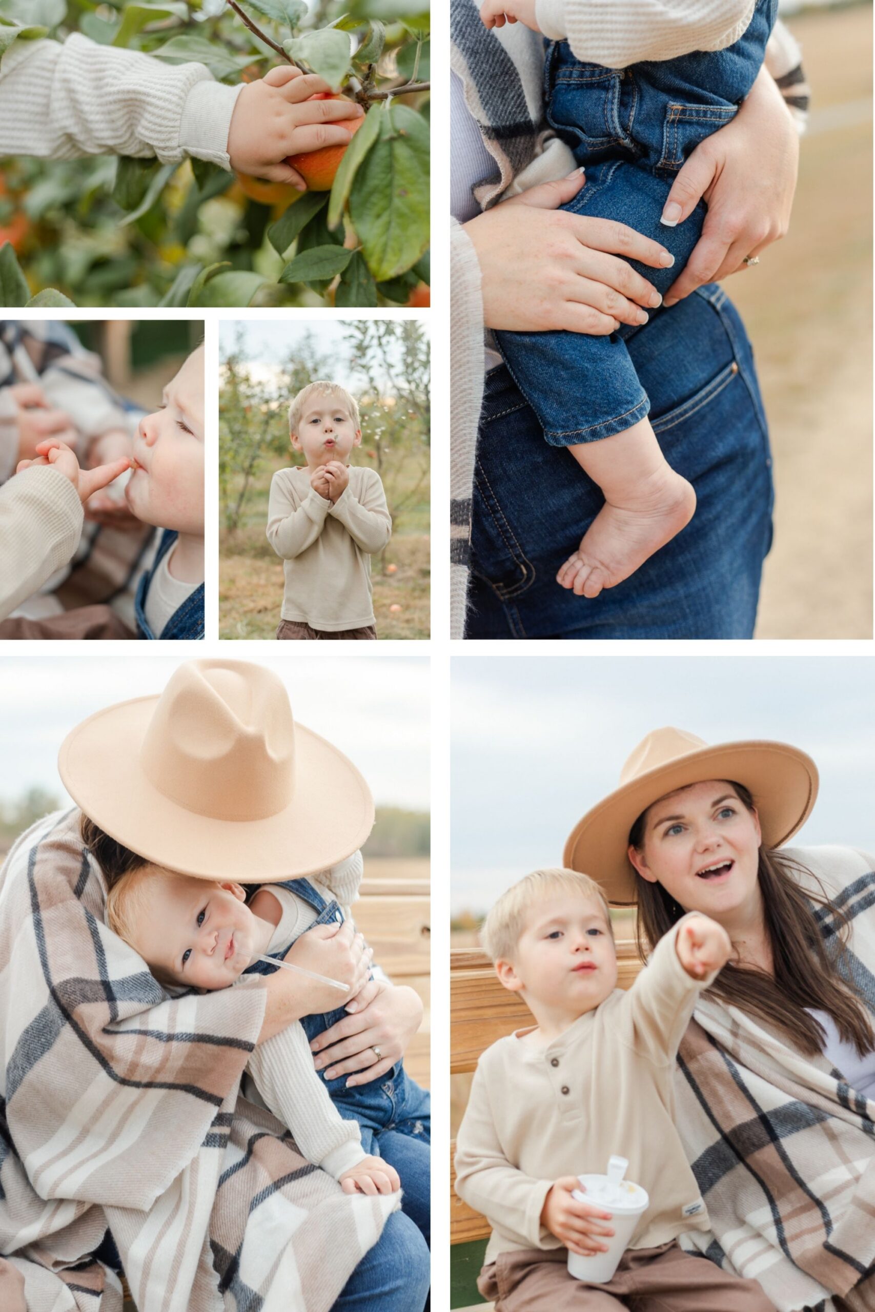 Details of Mother and sons at an apple orchard and riding a tractor ride.